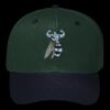 OTTO CAP 6 Panel Mid Profile Baseball Cap Thumbnail