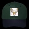 OTTO CAP 6 Panel Mid Profile Baseball Cap Thumbnail