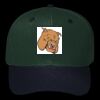 OTTO CAP 6 Panel Mid Profile Baseball Cap Thumbnail