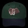 OTTO CAP 6 Panel Mid Profile Baseball Cap Thumbnail