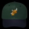 OTTO CAP 6 Panel Mid Profile Baseball Cap Thumbnail