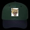 OTTO CAP 6 Panel Mid Profile Baseball Cap Thumbnail