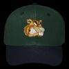 OTTO CAP 6 Panel Mid Profile Baseball Cap Thumbnail