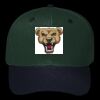 OTTO CAP 6 Panel Mid Profile Baseball Cap Thumbnail