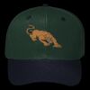 OTTO CAP 6 Panel Mid Profile Baseball Cap Thumbnail