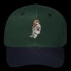 OTTO CAP 6 Panel Mid Profile Baseball Cap Thumbnail