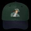 OTTO CAP 6 Panel Mid Profile Baseball Cap Thumbnail