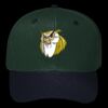 OTTO CAP 6 Panel Mid Profile Baseball Cap Thumbnail