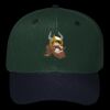 OTTO CAP 6 Panel Mid Profile Baseball Cap Thumbnail