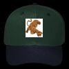 OTTO CAP 6 Panel Mid Profile Baseball Cap Thumbnail