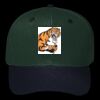 OTTO CAP 6 Panel Mid Profile Baseball Cap Thumbnail