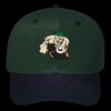 OTTO CAP 6 Panel Mid Profile Baseball Cap Thumbnail