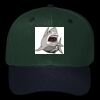 OTTO CAP 6 Panel Mid Profile Baseball Cap Thumbnail