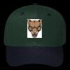 OTTO CAP 6 Panel Mid Profile Baseball Cap Thumbnail