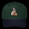 OTTO CAP 6 Panel Mid Profile Baseball Cap Thumbnail