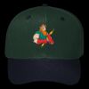 OTTO CAP 6 Panel Mid Profile Baseball Cap Thumbnail