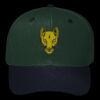 OTTO CAP 6 Panel Mid Profile Baseball Cap Thumbnail