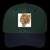 OTTO CAP 6 Panel Mid Profile Baseball Cap Thumbnail