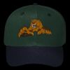 OTTO CAP 6 Panel Mid Profile Baseball Cap Thumbnail