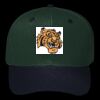 OTTO CAP 6 Panel Mid Profile Baseball Cap Thumbnail