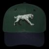 OTTO CAP 6 Panel Mid Profile Baseball Cap Thumbnail