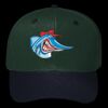 OTTO CAP 6 Panel Mid Profile Baseball Cap Thumbnail