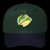 OTTO CAP 6 Panel Mid Profile Baseball Cap Thumbnail