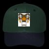 OTTO CAP 6 Panel Mid Profile Baseball Cap Thumbnail