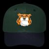 OTTO CAP 6 Panel Mid Profile Baseball Cap Thumbnail