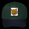 OTTO CAP 6 Panel Mid Profile Baseball Cap Thumbnail