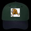 OTTO CAP 6 Panel Mid Profile Baseball Cap Thumbnail