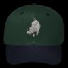 OTTO CAP 6 Panel Mid Profile Baseball Cap Thumbnail