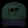 OTTO CAP 6 Panel Mid Profile Baseball Cap Thumbnail