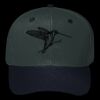 OTTO CAP 6 Panel Mid Profile Baseball Cap Thumbnail