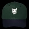 OTTO CAP 6 Panel Mid Profile Baseball Cap Thumbnail