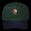 OTTO CAP 6 Panel Mid Profile Baseball Cap Thumbnail