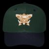 OTTO CAP 6 Panel Mid Profile Baseball Cap Thumbnail