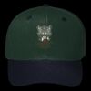 OTTO CAP 6 Panel Mid Profile Baseball Cap Thumbnail