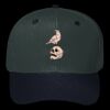OTTO CAP 6 Panel Mid Profile Baseball Cap Thumbnail