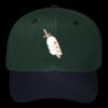 OTTO CAP 6 Panel Mid Profile Baseball Cap Thumbnail