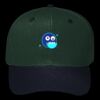 OTTO CAP 6 Panel Mid Profile Baseball Cap Thumbnail