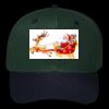 OTTO CAP 6 Panel Mid Profile Baseball Cap Thumbnail