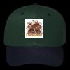 OTTO CAP 6 Panel Mid Profile Baseball Cap Thumbnail