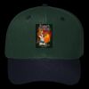 OTTO CAP 6 Panel Mid Profile Baseball Cap Thumbnail