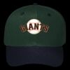 OTTO CAP 6 Panel Mid Profile Baseball Cap Thumbnail