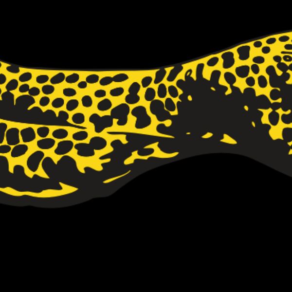 AR CHEETAH 12 RC Thumbnail