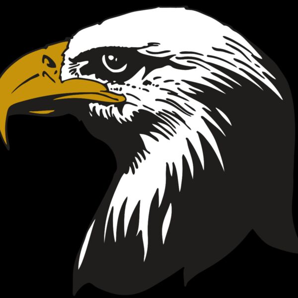 AR EAGLE 87 RC Thumbnail