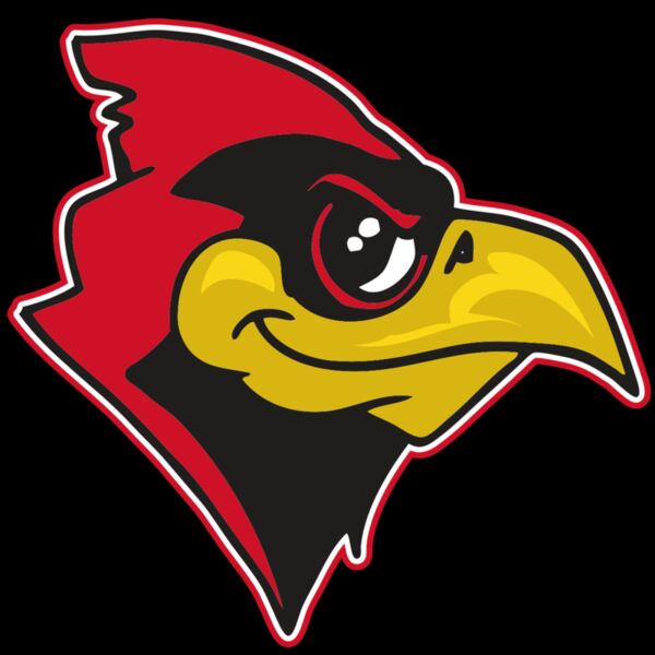 AR CARDINAL 38 RC Thumbnail