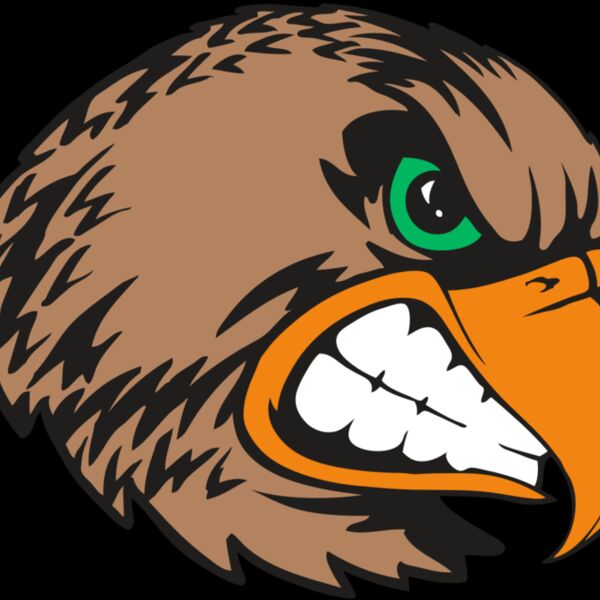 BAW HWK FLCN 09 RC Thumbnail