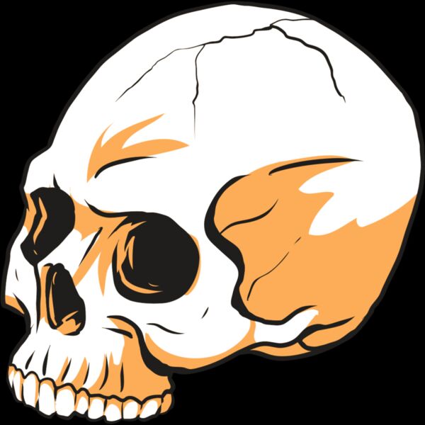 AR24 SKULL 13 RQC Thumbnail